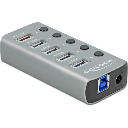 DeLock 5 Port USB 3.2 Gen 1 Hub
