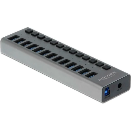 DeLock External SuperSpeed USB 3.0 Hub with 13 Ports + Switch