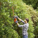Black & Decker BEHT201 Ηλεκτρικό Μπορντουροψάλιδο 420W με Μήκος Λάμας 45cm - Image 3