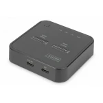 Digitus Docking Station για 2 Σκληρούς Δίσκους SATA M.2(2242)" / M.2(2260)" / M.2(2280)" με σύνδεση USB-C (DA-71545) - Image 2